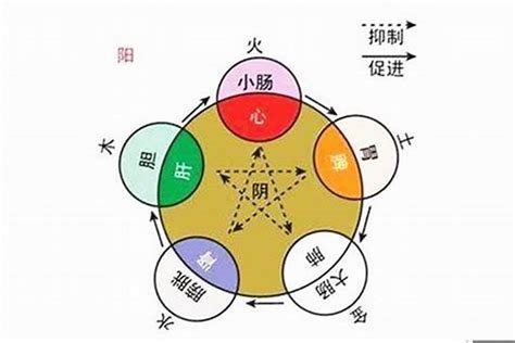 盛 五行|盛字的五行属性是什么